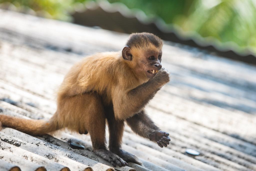 WhatsApp Image 2022-05-27 at 21.48.48 (2)